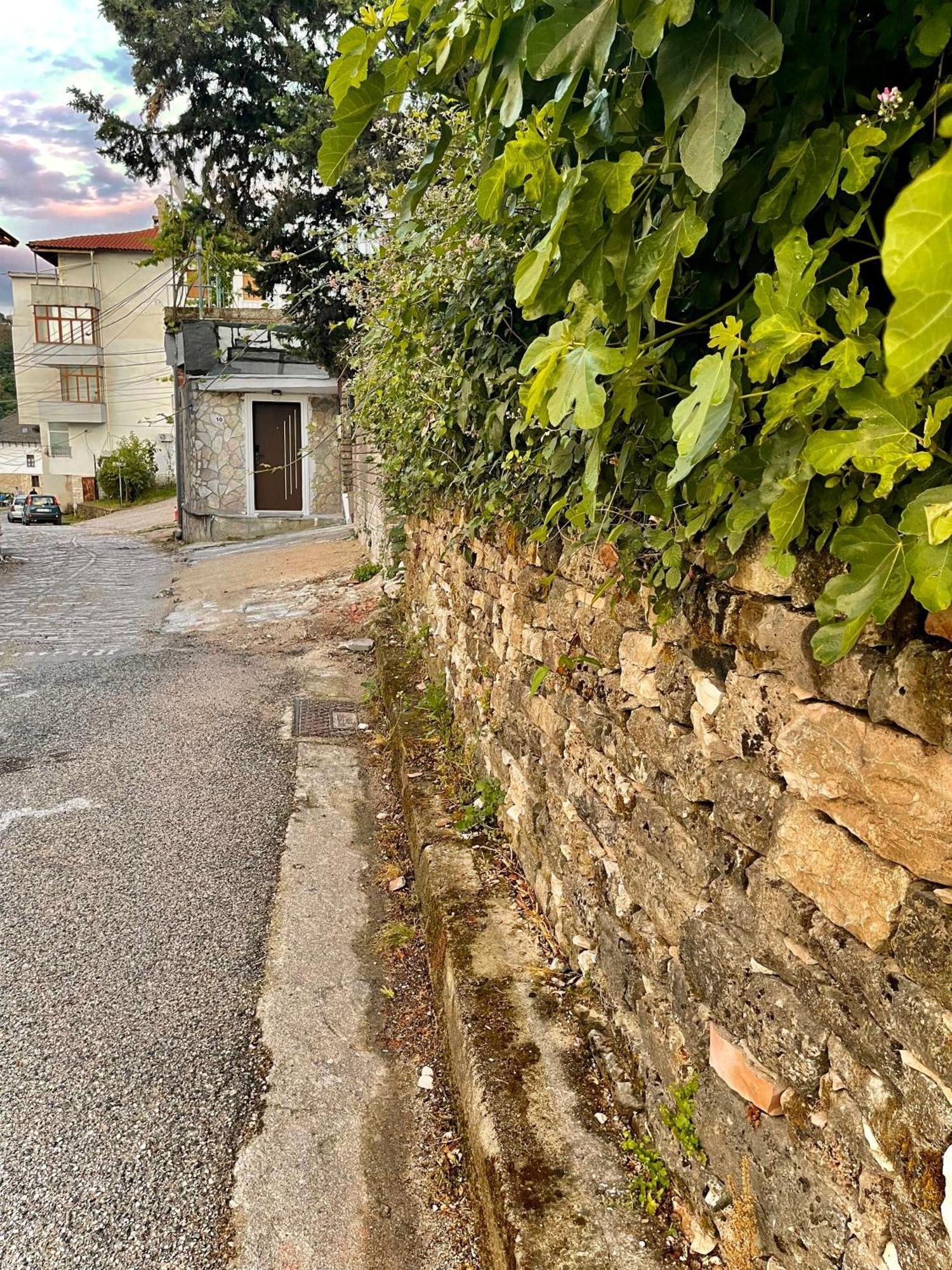 Zalbinger * Gjirokastër